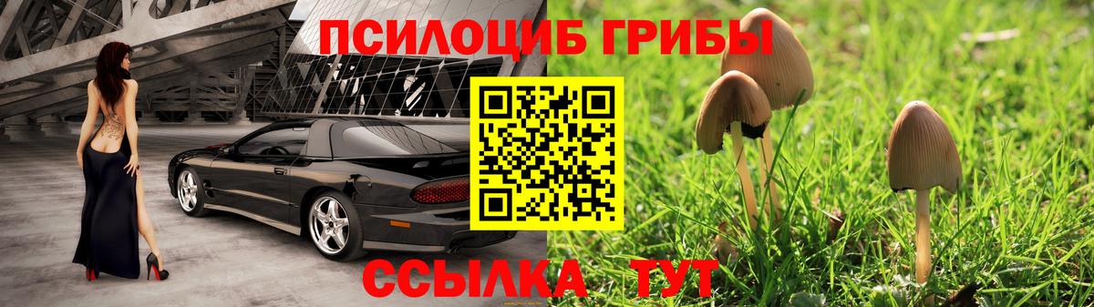 Псилоцибиновые грибы ЛСД Советск